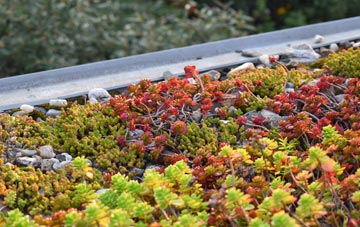 the cost of Scredda green roof installation